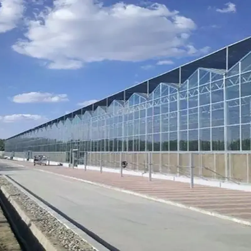 Dwustronna wieloprzęsłowa szklarnia typu piłokształtnego