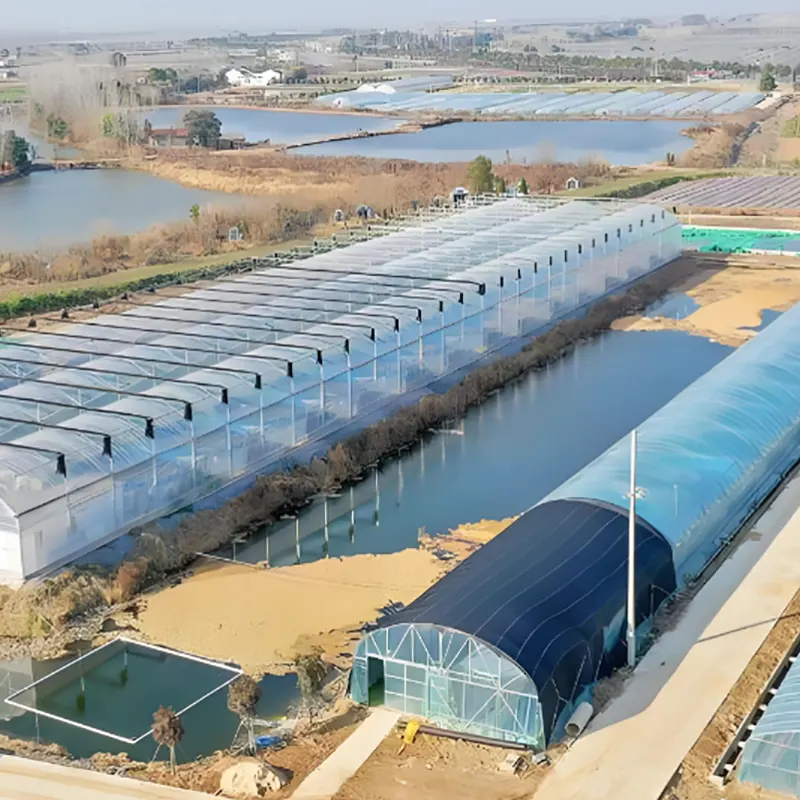 Fish Breeding Shed