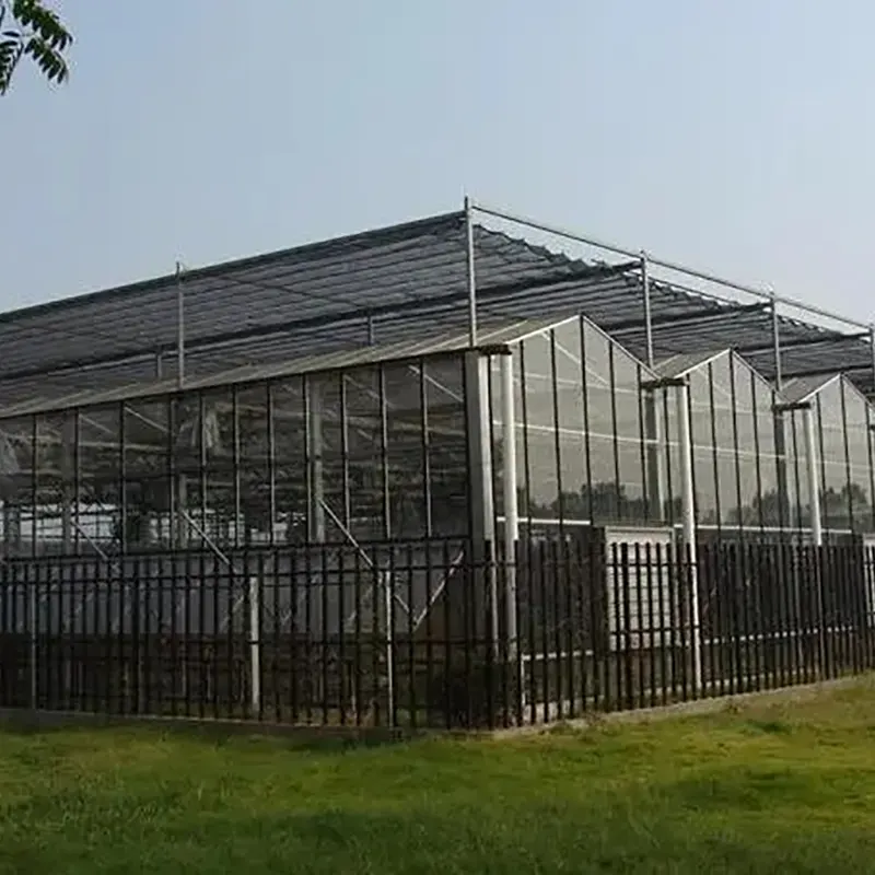 Science Education Greenhouse