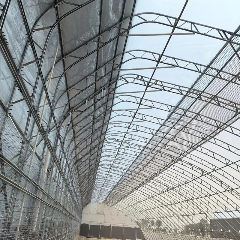 Prefabrykowana jednospadowa szklarnia słoneczna z podwójną folią